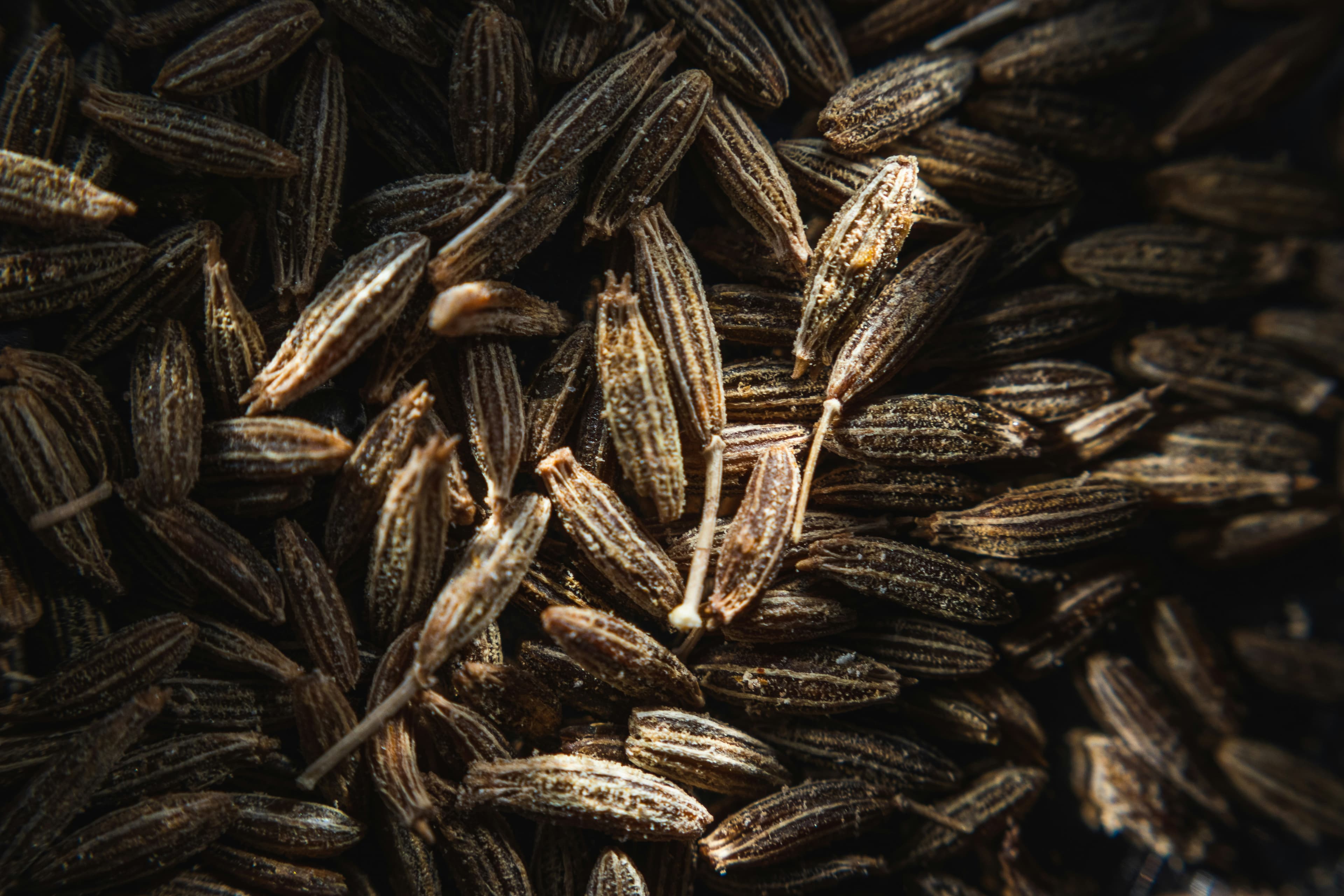 Garam Masala
