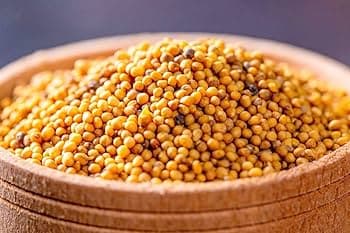 Mustard Seeds